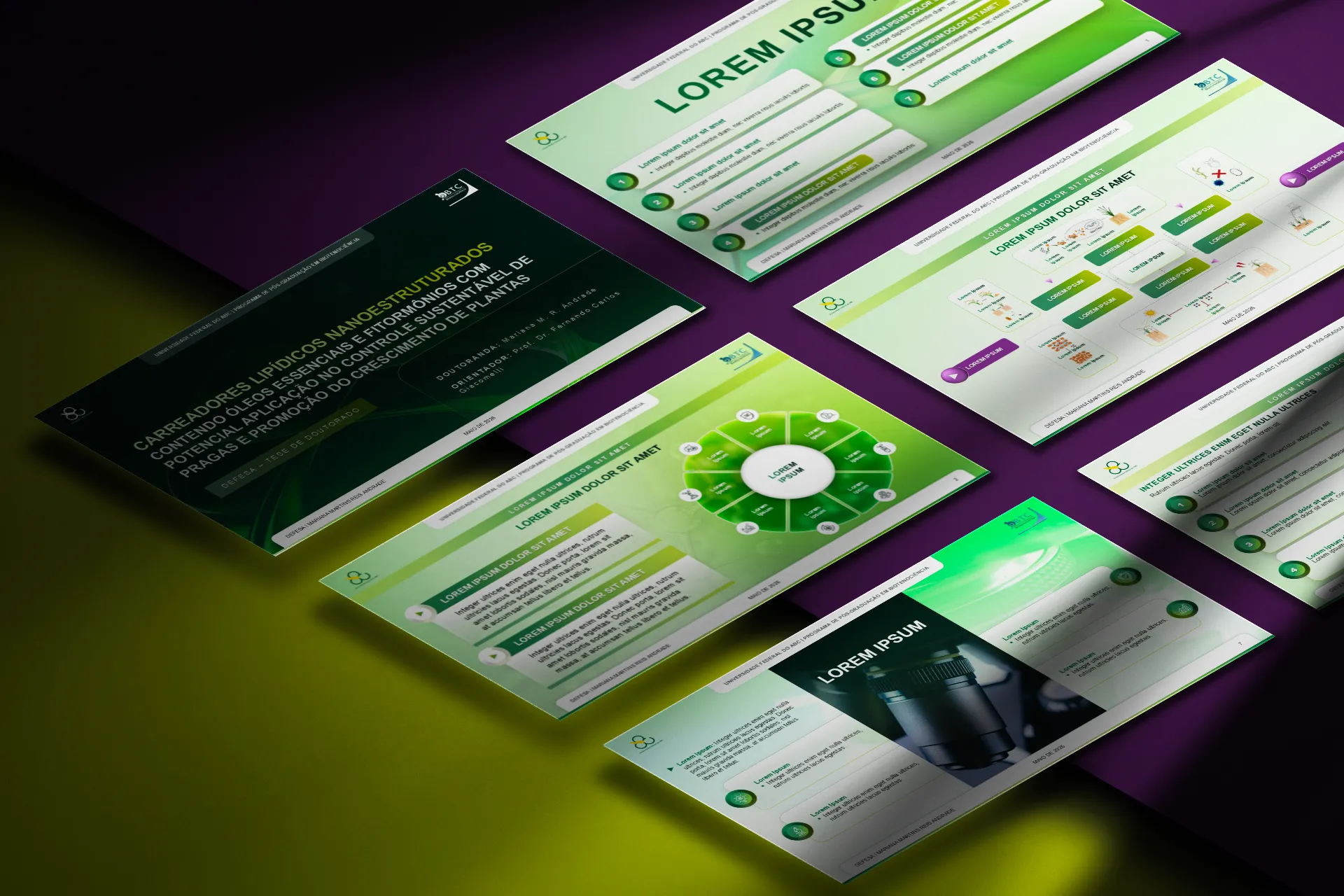 Overview of the UFABC PhD presentation slides, in a green and white design